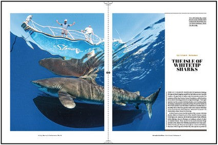 Guy Harvey's Underwater World