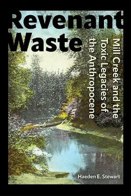 Revenant Waste