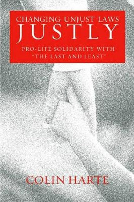 Changing Unjust Laws Justly
