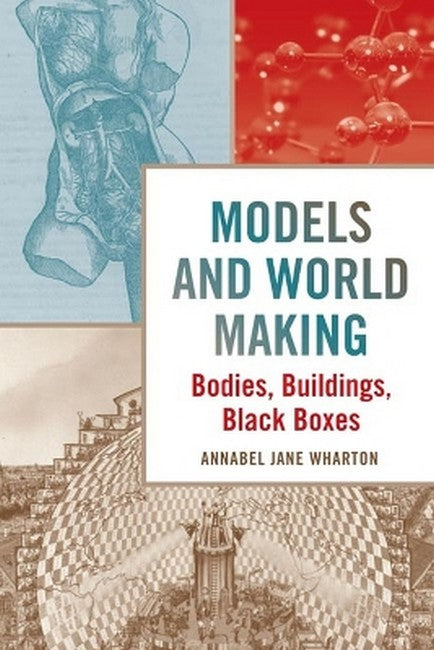 Models and World Making