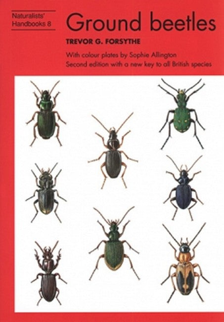Ground beetles 2/e