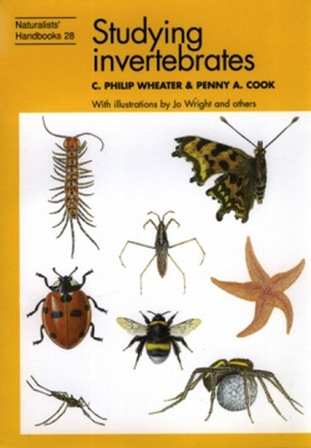 Studying Invertebrates