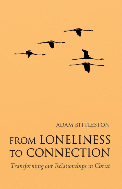 From Loneliness to Connection 2/e