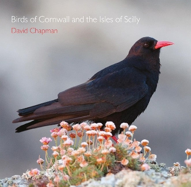 Birds of Cornwall and the Isles of Scilly