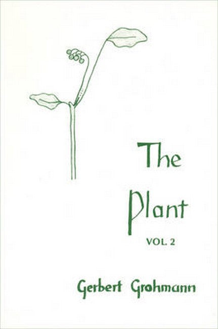 The Plant