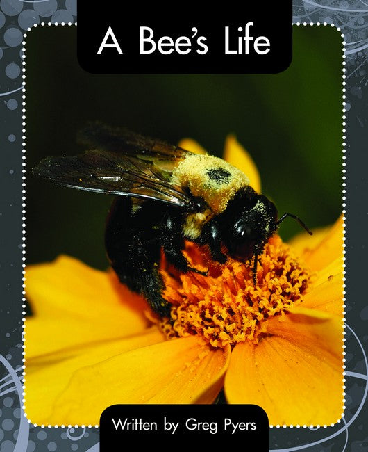 SIC - Lvl 16 Bee's Life, A