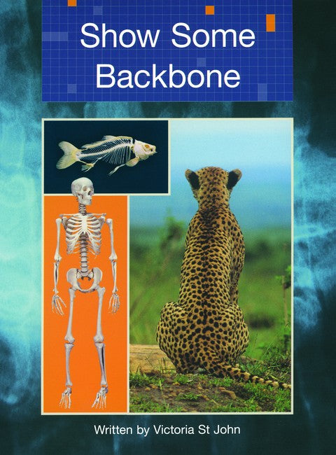 SIC - Lvl 29 Show Some Backbone