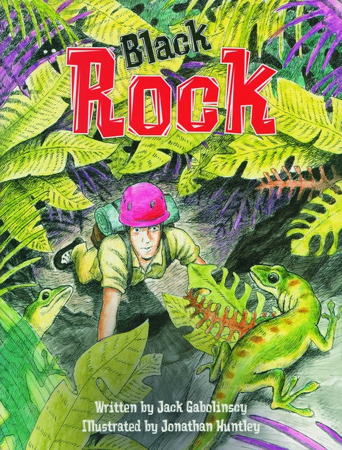 SIC - SiC4: Black Rock