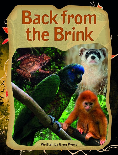 SIC - SiC6: Back from the Brink
