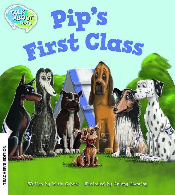 Pips First Class Teachers Edition
