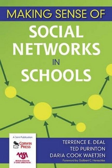 Making Sense of Social Networks in Schools