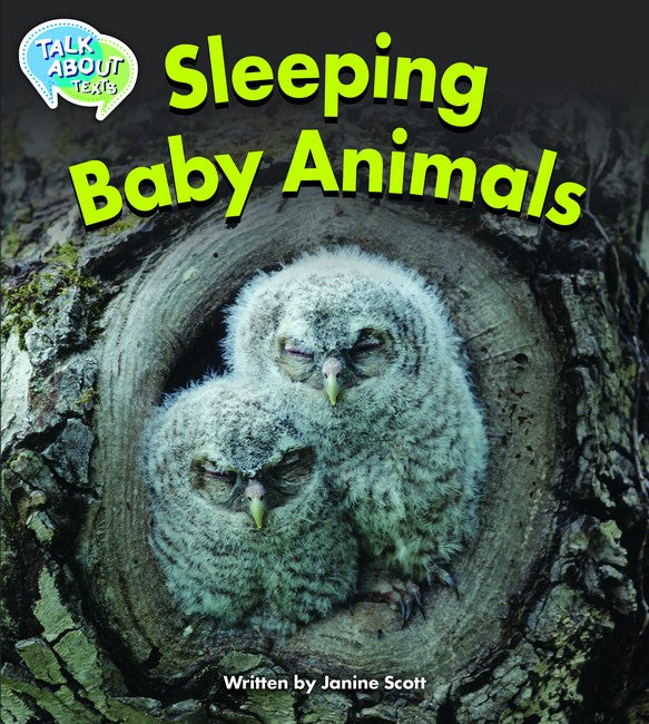 MSEA Sleeping Baby Animals