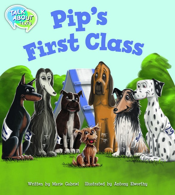 MSEA Pip's First Class