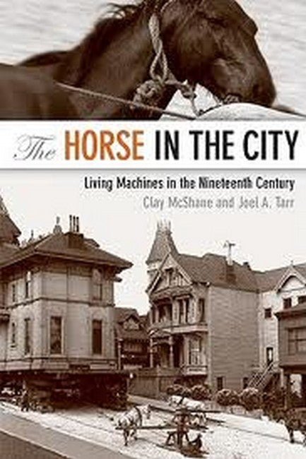 The Horse in the City