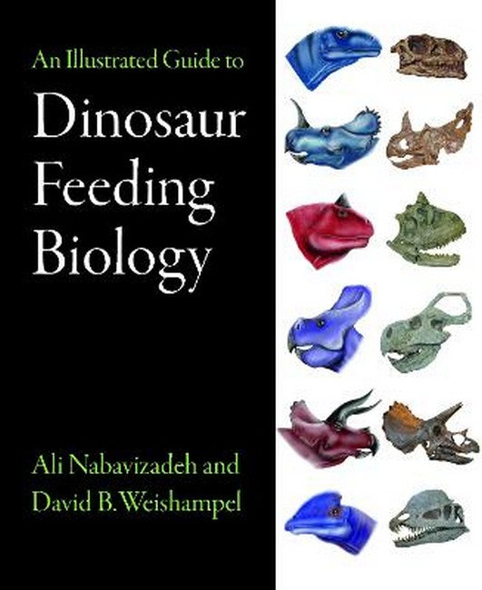 An Illustrated Guide to Dinosaur Feeding Biology