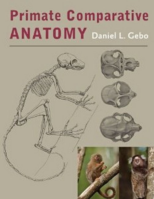 Primate Comparative Anatomy