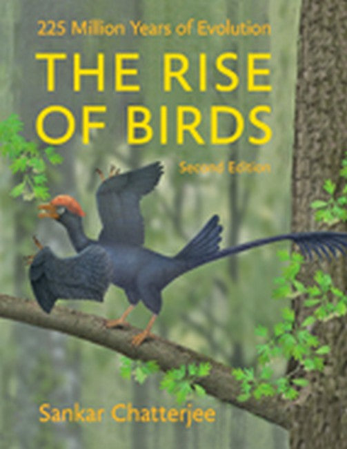 The Rise of Birds 2/e