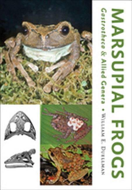 Marsupial Frogs