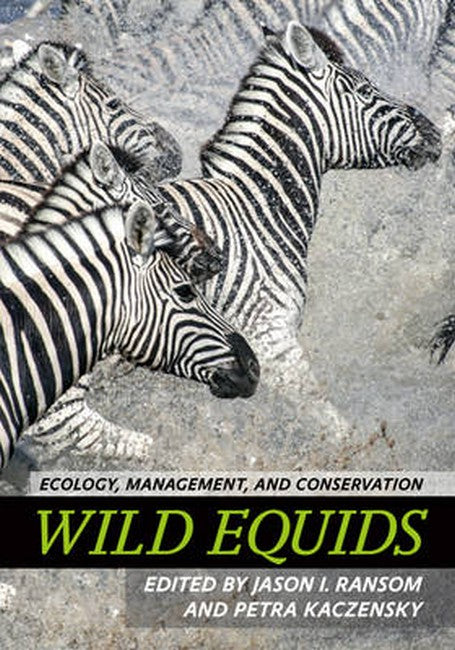 Wild Equids: