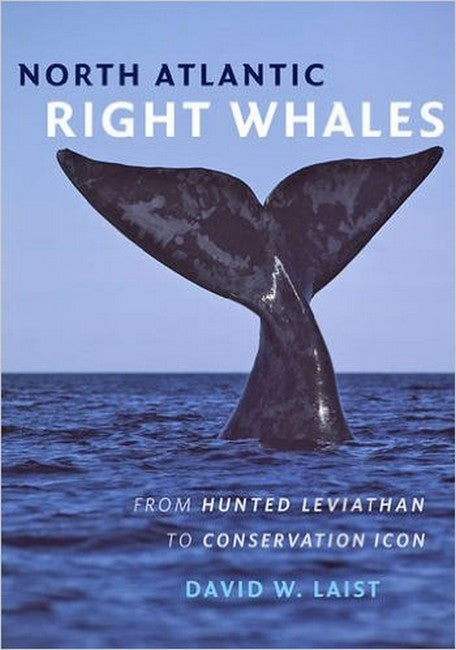 North Atlantic Right Whales