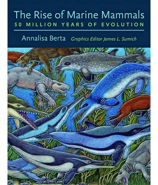 The Rise of Marine Mammals