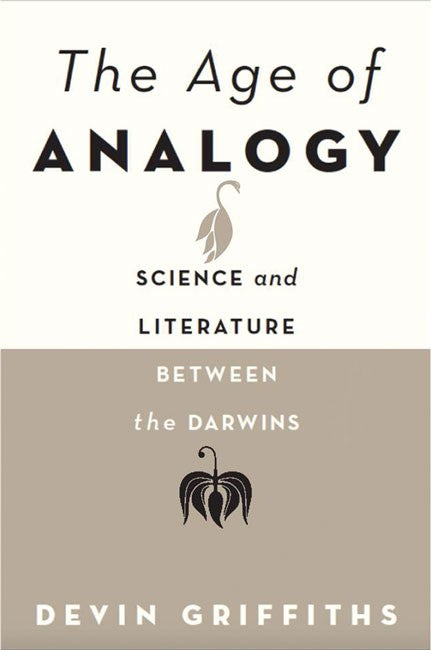 The Age of Analogy