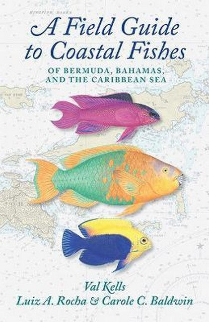 A Field Guide to Coastal Fishes of Bermuda, Bahamas, and the Caribbean S