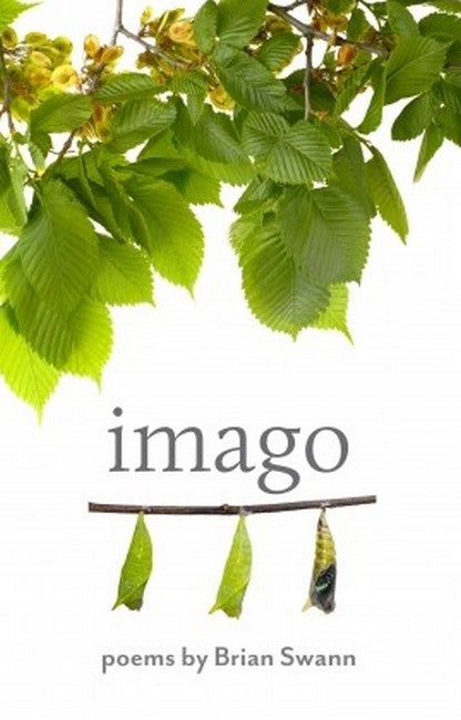 Imago