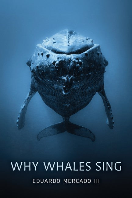 Why Whales Sing