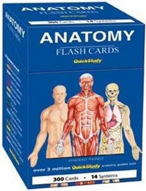 Anatomy Flash Cards (300 cards)