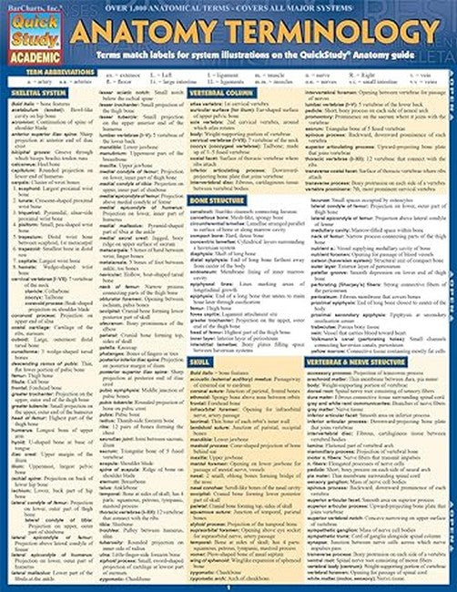 Anatomy Terminology Reference