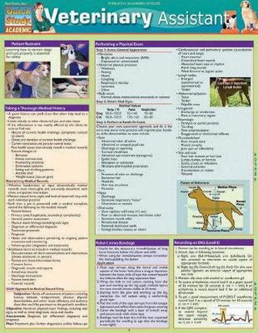 Veterinary Assistant