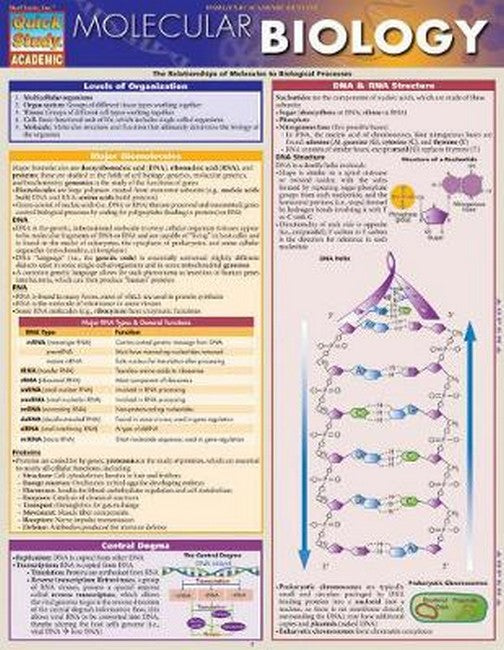 Molecular Biology