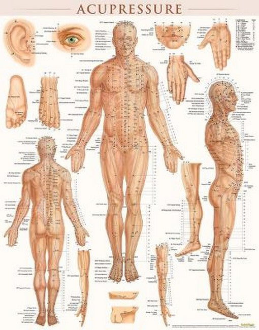 Acupressure-Laminated