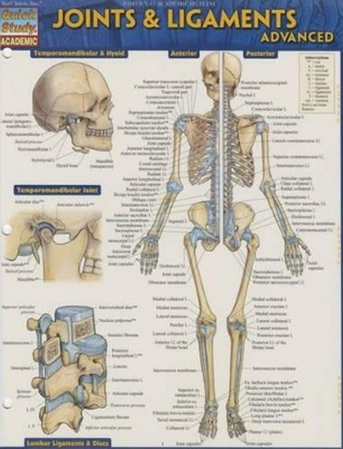 Joints & Ligaments Advanced