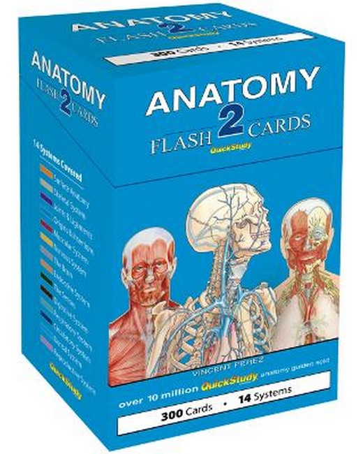 Anatomy 2 Flash Cards (300 cards)