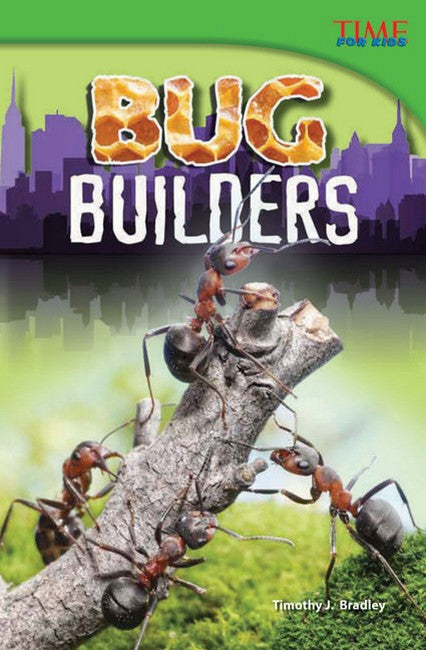 Bug Builders 2/e