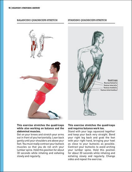 Delavier's Stretching Anatomy