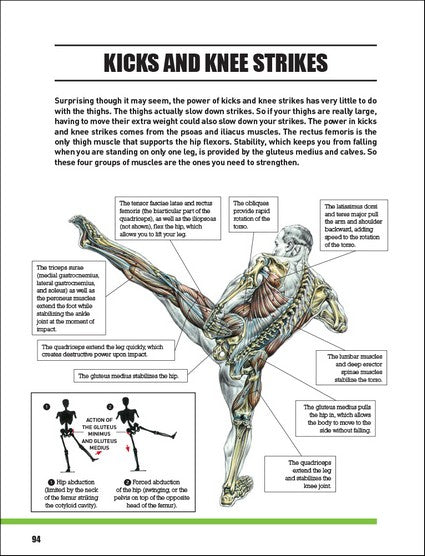Delavier's Mixed Martial Arts Anatomy