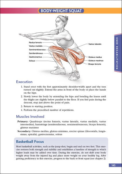 Basketball Anatomy