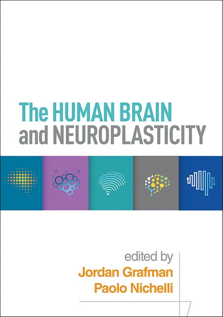 The Human Brain and Neuroplasticity
