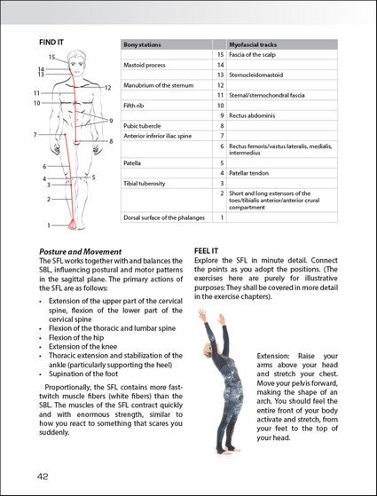 Myofascial Training