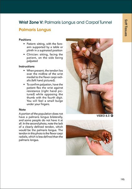 A Clinical Guide to Surface Palpation 2/e