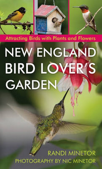 New England Bird Lover's Garden