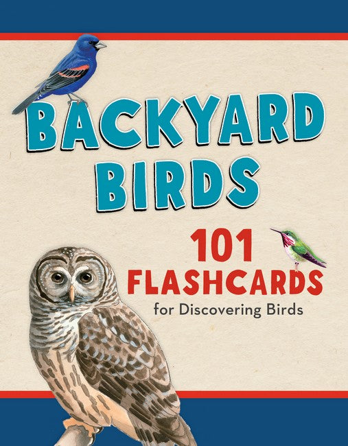 Backyard Birds