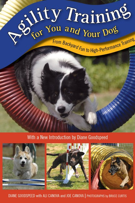 Agility Training for You and Your Dog