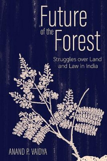 Future of the Forest