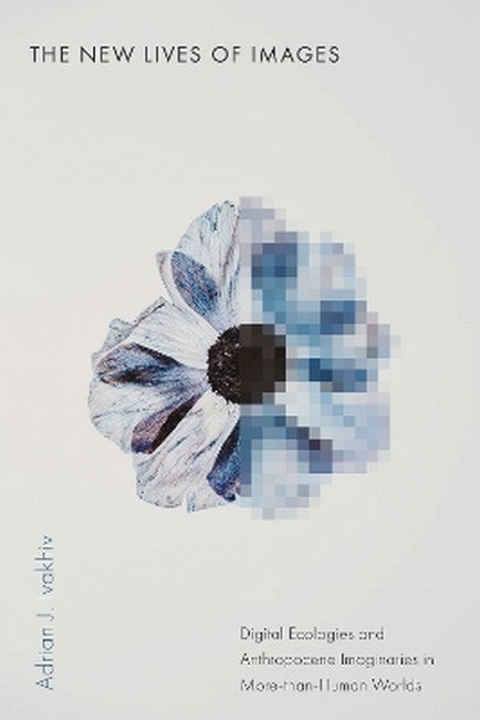 The New Lives of Images