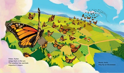 Milkweed for Monarchs
