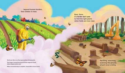 Milkweed for Monarchs